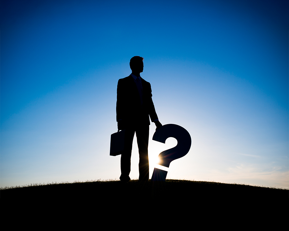 Why Choose WolfzHowl?
